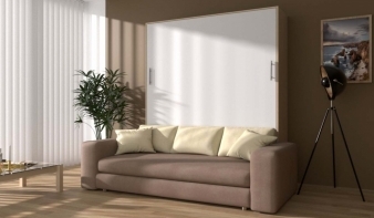 Вертикальная Шкаф-кровать с диваном Флау BMS