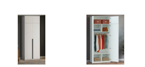 Распродажа - ЭСКИЗ Шкаф распашной Депорте Люкс 35   (1000х2500х600)