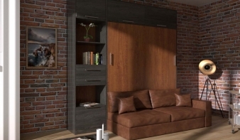 Шкаф-кровать с диваном Долли 50 BMS