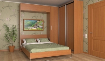 Двуспальная Шкаф-кровать трансформер Карл BMS