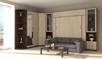 Вертикальная Шкаф-кровать с диваном Ренто BMS