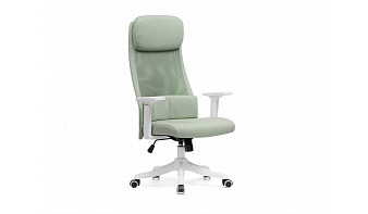 Компьютерное кресло Salta зеленого цвета