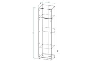Распродажа - Распашной шкаф Вилета 5  (600х2400х500)