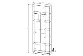 Распродажа - Шкаф распашной Интарс 3А (900х2600х300)