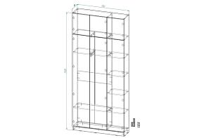 Распродажа - Шкаф распашной Интарс 3А (1100х2500х300)