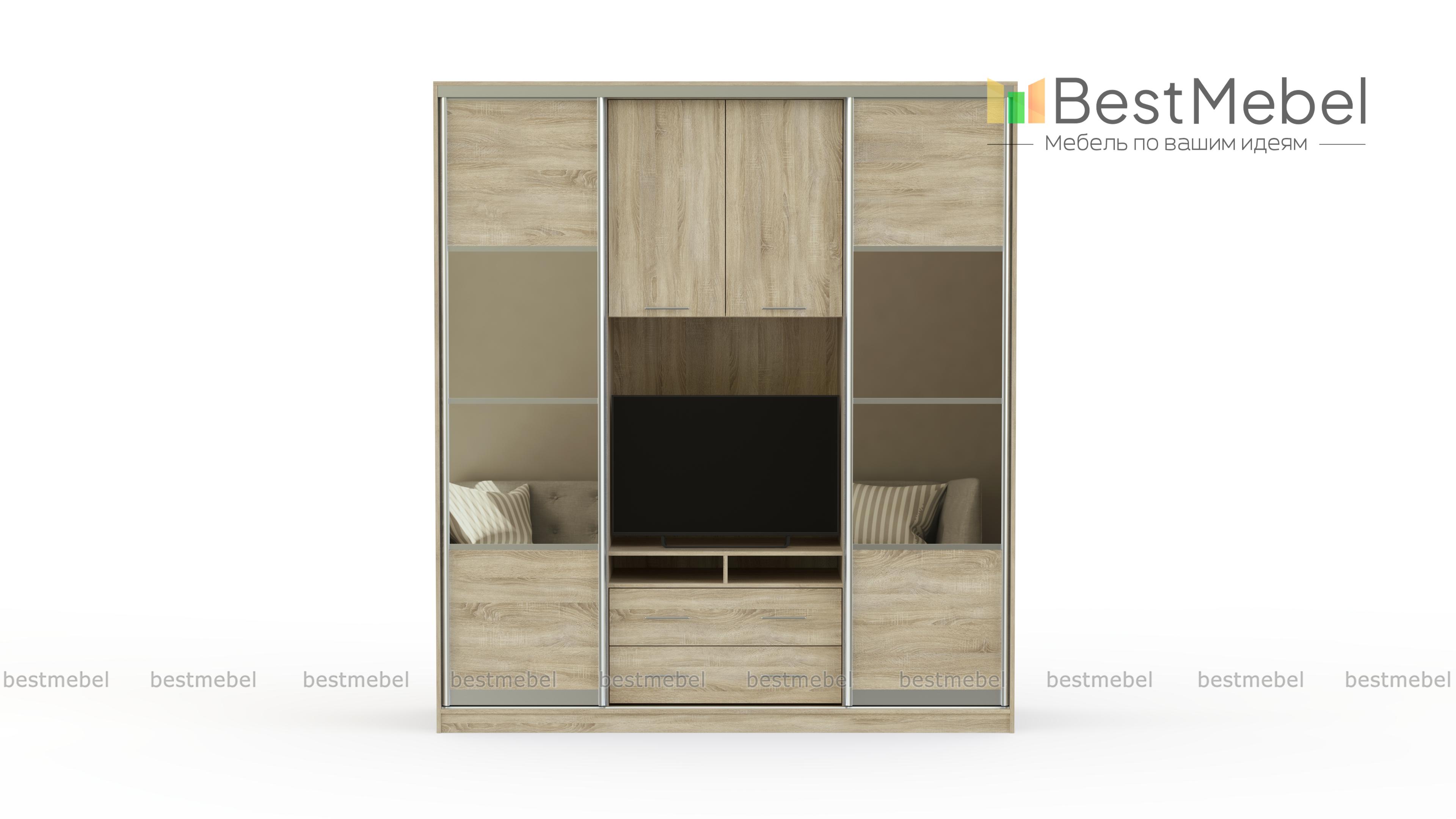 Шкаф-купе Скайм BMS - Фото