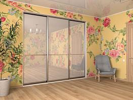 Распродажа - Шкаф-купе Пример 233 BMS(Белье - Платье (станд. 3)) (2050х2650х600)