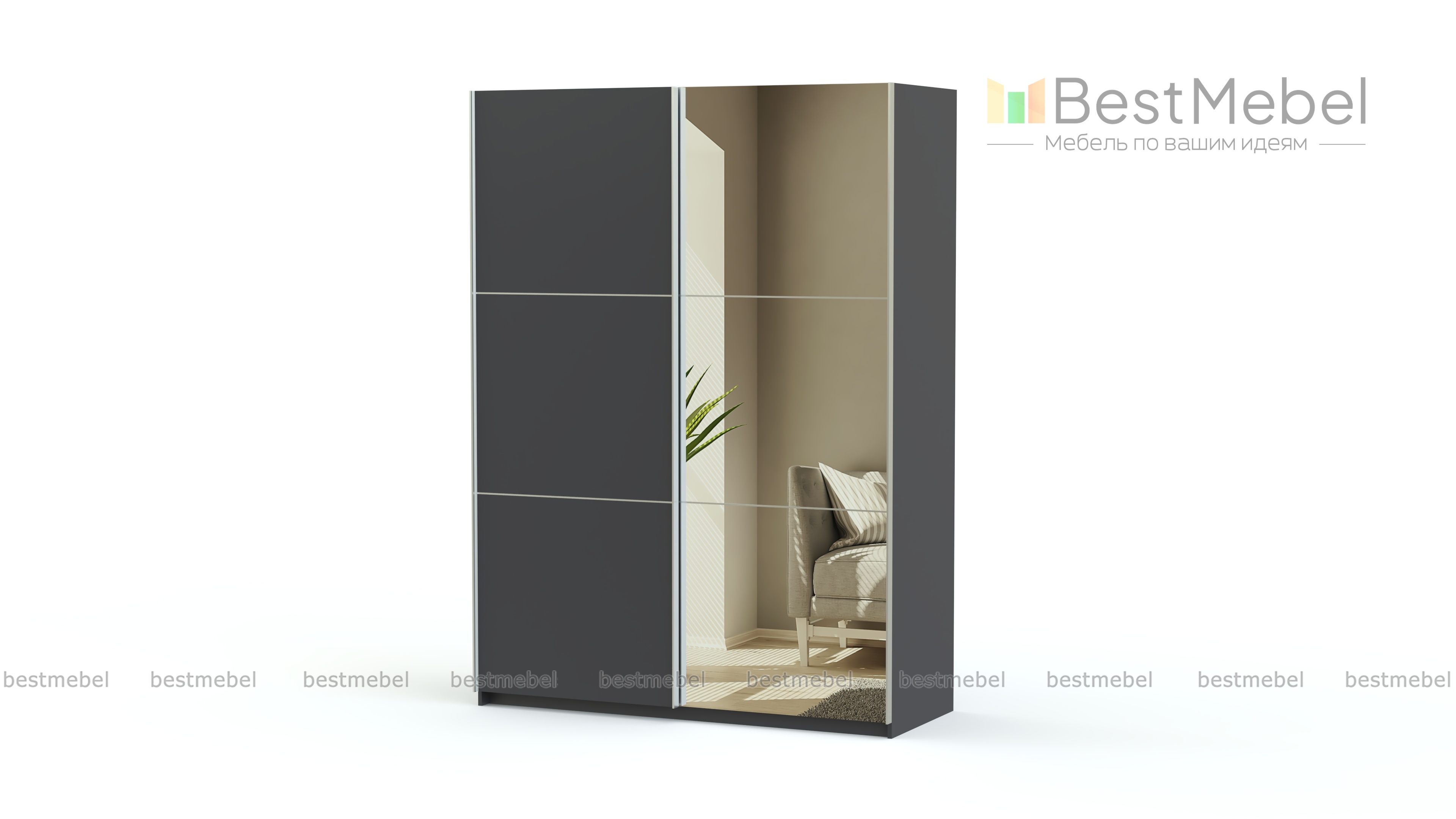 Шкаф-купе Vigos BMS