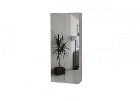 Распродажа - Распашной шкаф Bauhaus 8-2 BMS(Белье - Платье с полкой (2)) (950х2300х550)