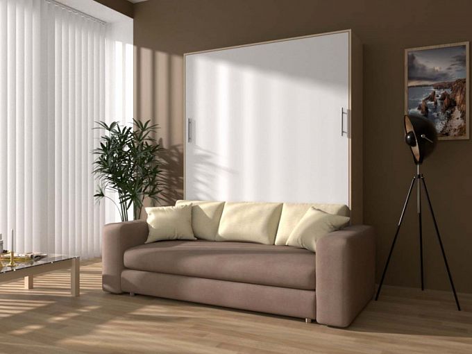 Шкаф-кровать с диваном Флау BMS - Фото