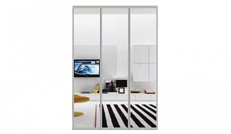 Распродажа - Двери-купе Глейз 2 BMS (1698х2655х34)